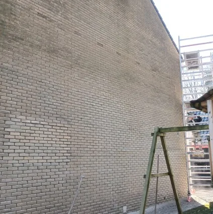 Gevelrenovatie en herstel project
